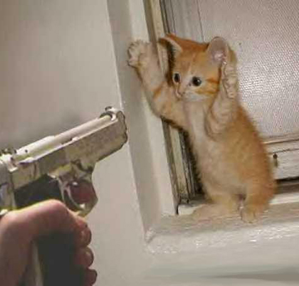 kitten_hostage.jpg